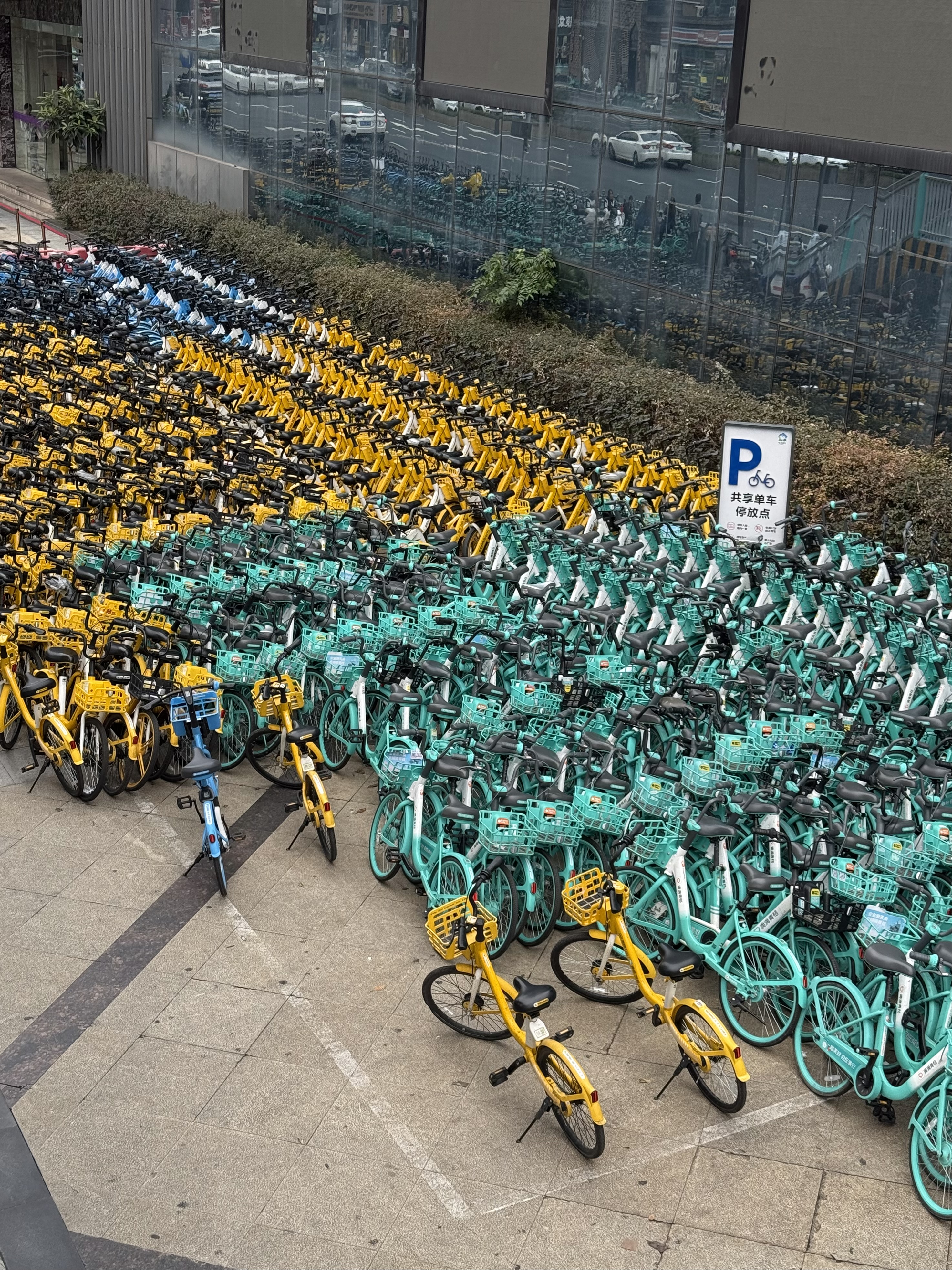 Chengdu bikes